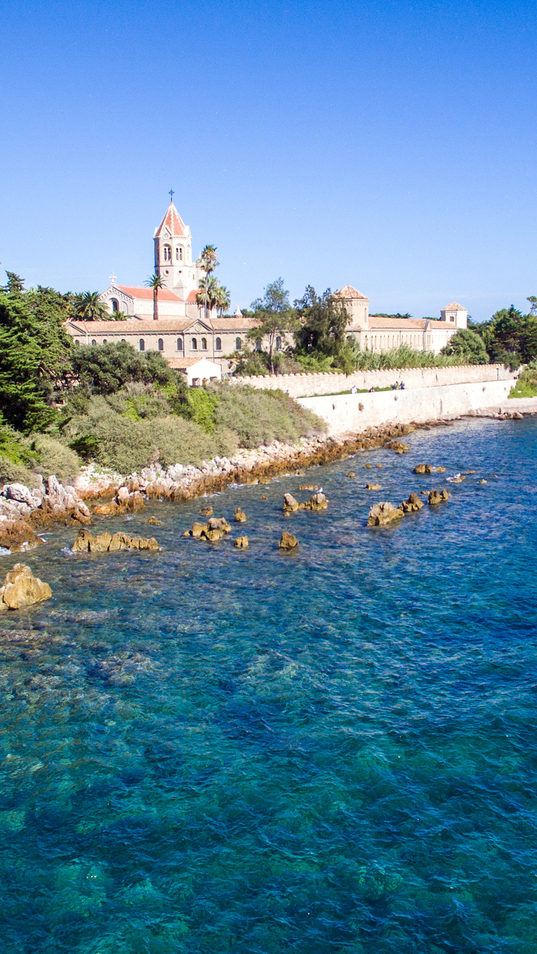 M・モーフラ、LES PINS DE L'ILE ST. HONORAT Sainte-Marguerite and Saint-Honorat: the practical guide to